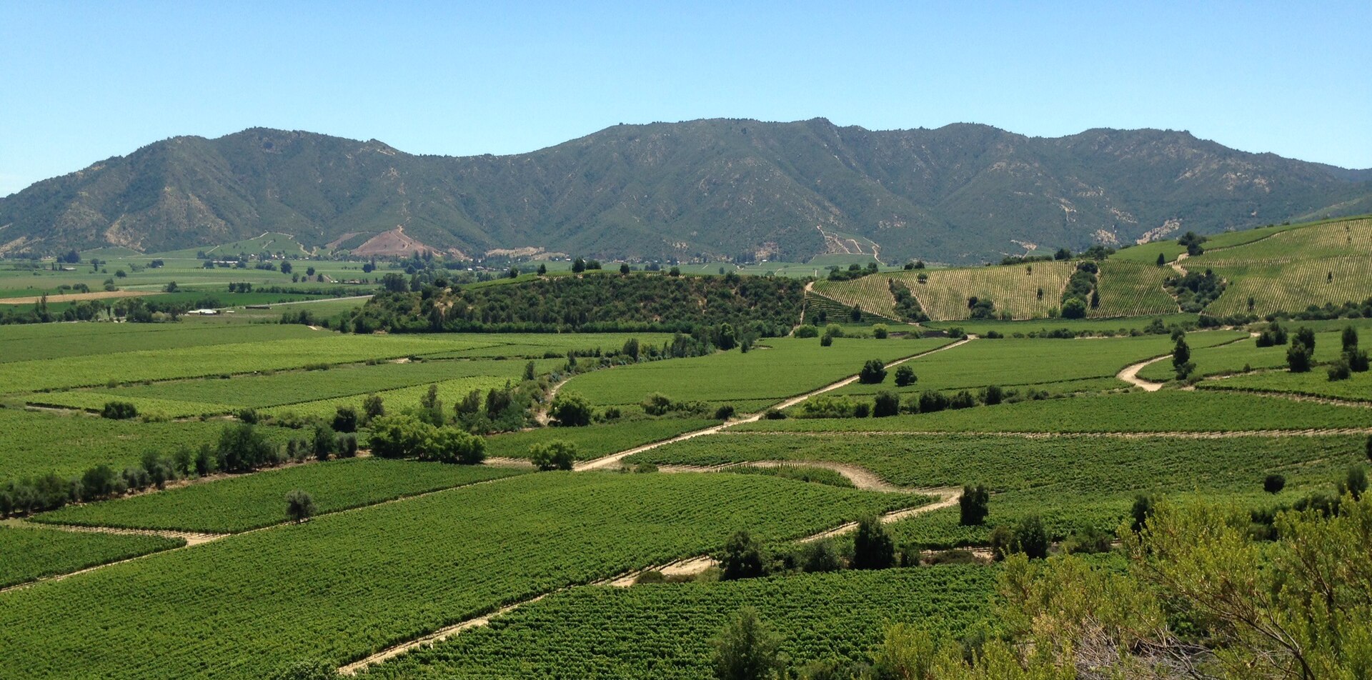 vina-montes-region-ohiggins